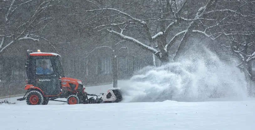 snow plow with trees in the background